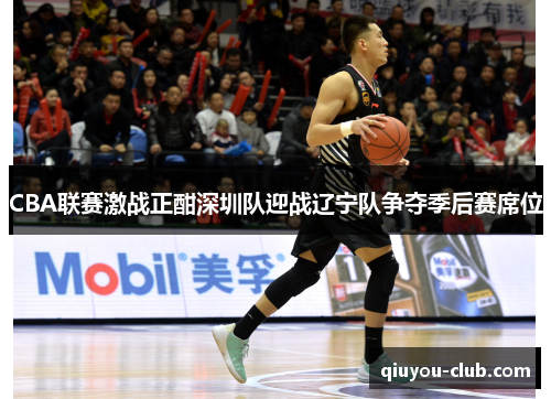 CBA联赛激战正酣深圳队迎战辽宁队争夺季后赛席位